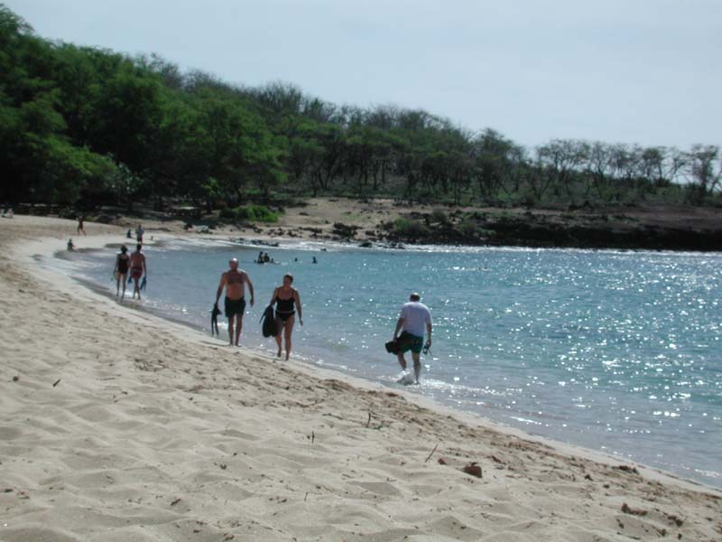 Bryan on beach.jpg 64.9K